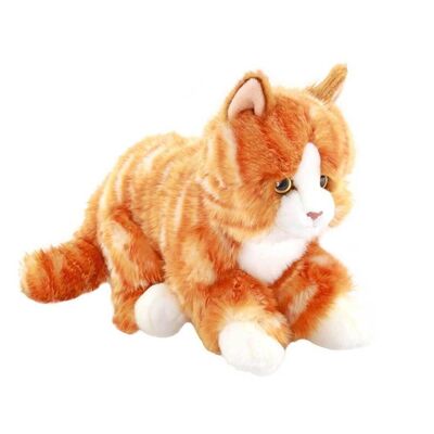 Animals Of The World Peluş Floppy Tekir Kedi 27 cm - 1