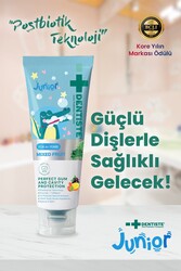 Dentiste Junior Diş Macunu Mixed Fruit 60 Gr 6 Yaş Üzeri - 2