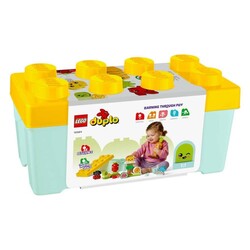 Lego Duplo İlk Organik Bahçe - 4