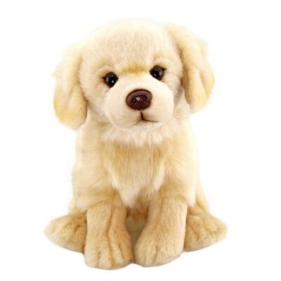 Peluş Floppy Golden Köpek 28 cm - 1