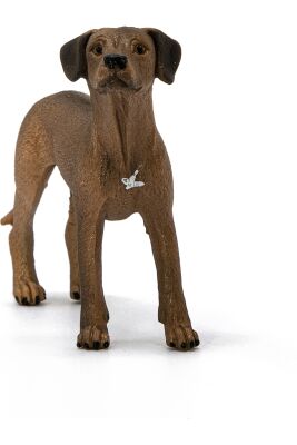 Schleich Oyuncak Hayvan Figürü Rodezya Ridgeback Köpek - 2