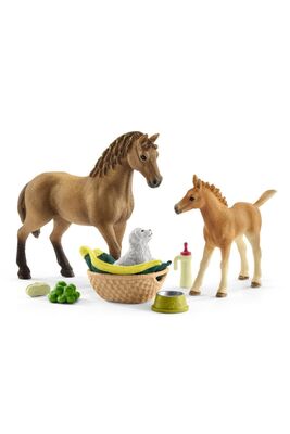 Schleich Sarahnın Hayvan Bakım Seti - 1